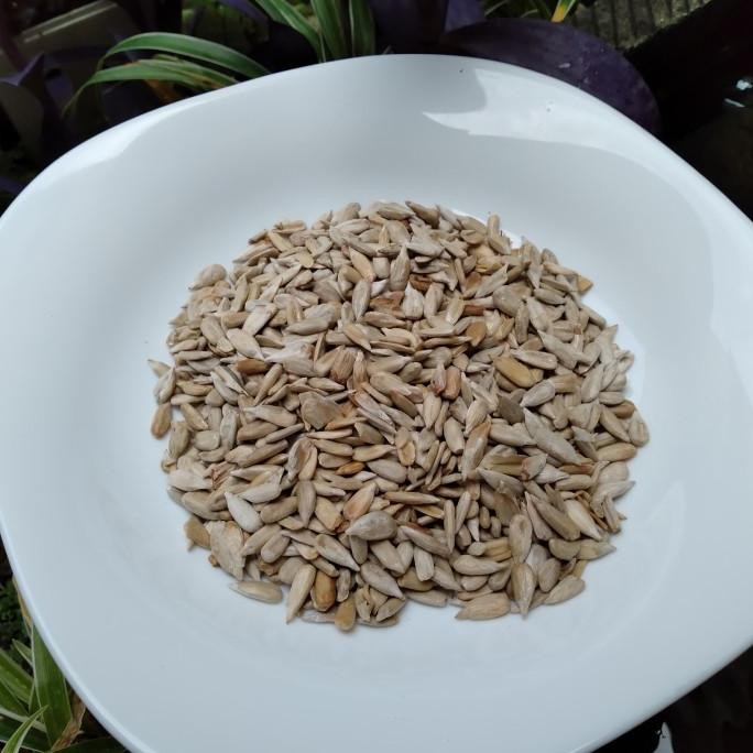 

Murah Sunflower Seed Roasted 1Kg