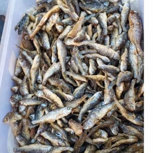 

Murah Ikan Bilis