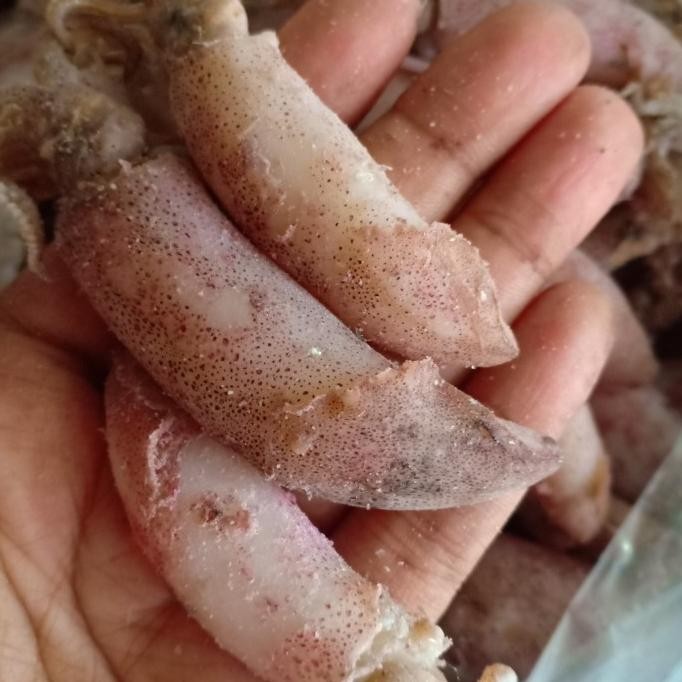 

Sale Ikan Cumi Asin Kering/Sotong Kering Per 500Gr