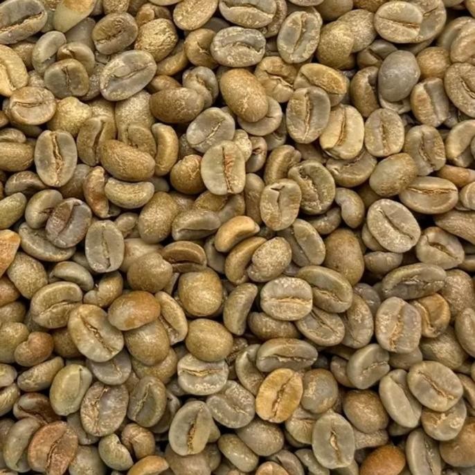 

Grosir Panama Esmeralda Diamond Mountain 24 Green Beans