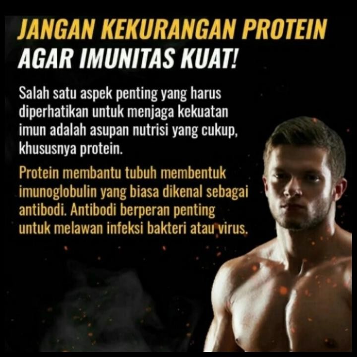 Terlaris Xpose Protein Good Quality