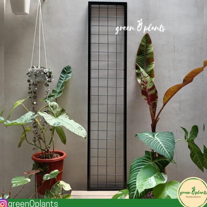 Rak Vertical Garden 120cmx25cm