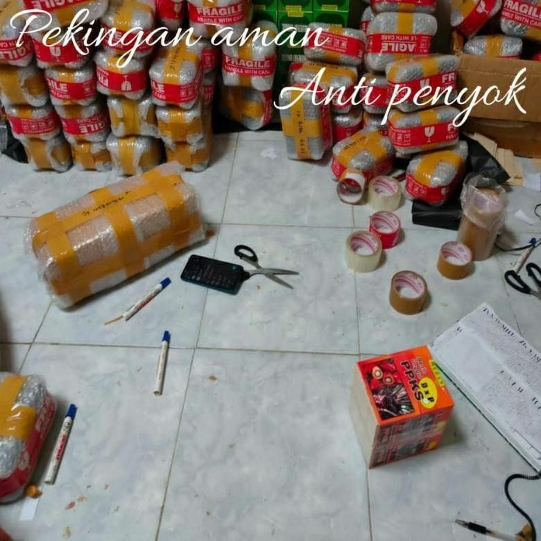 bibit cambah sawit unggul PPKS