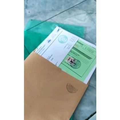 Bibit Kecambah Polong Sawit dxp SOCFINDO benih Unggul