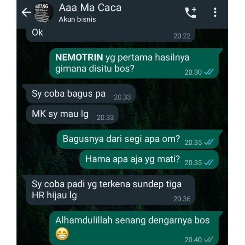 Nemotrin Insektisida Pembasmi Ulat Grayak Wereng Coklat Kupu Kupu Putih Trips Kaper 250 Ml Obat Beba