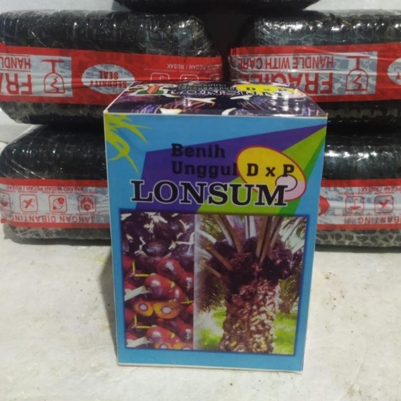 bibit sawit lonsum