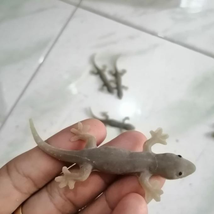 Mainan Cicak Abu Abu Mirip Asli Co