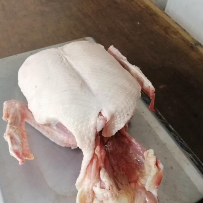 

Promo Daging Bebek 2,5 Kg Tanpa Kepala Dan Paha