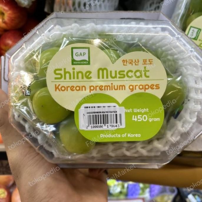 

Promo Anggur Shine Muscat Korea Premium | Pack