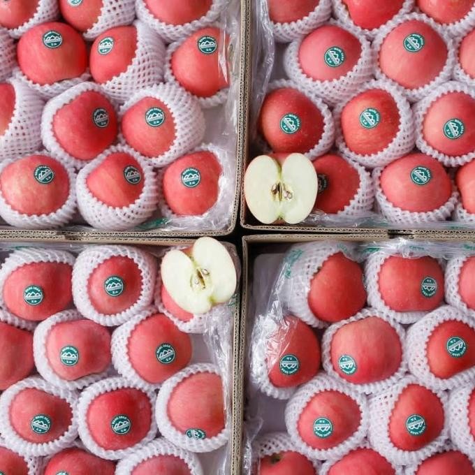 

Grosir Apel Fuji Wangshan 1 Dus 13Kg