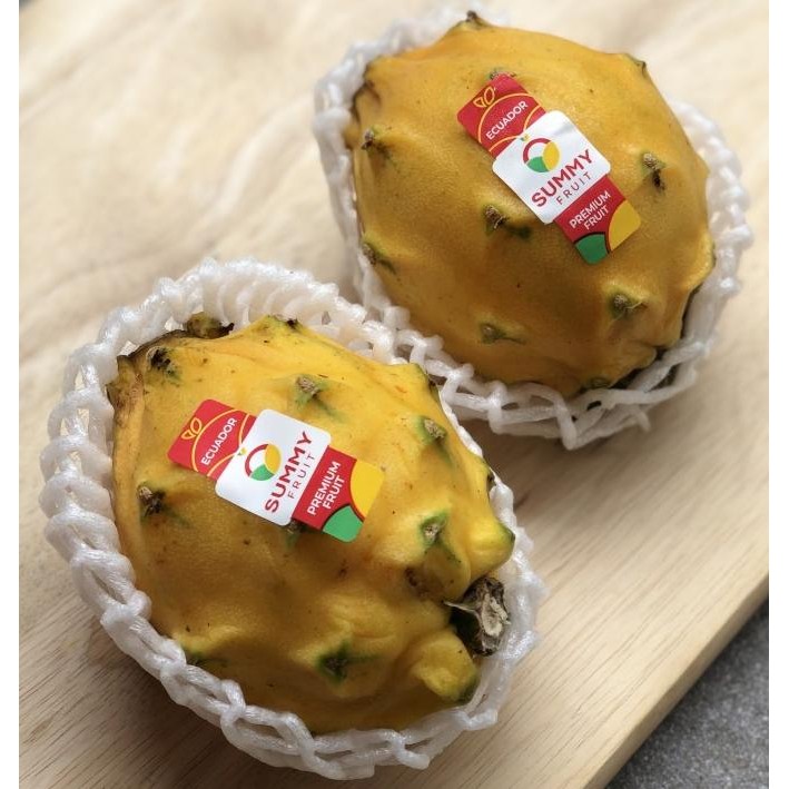 

Murah Buah Naga Kuning Manis Equador Yellow Dragon Fruit