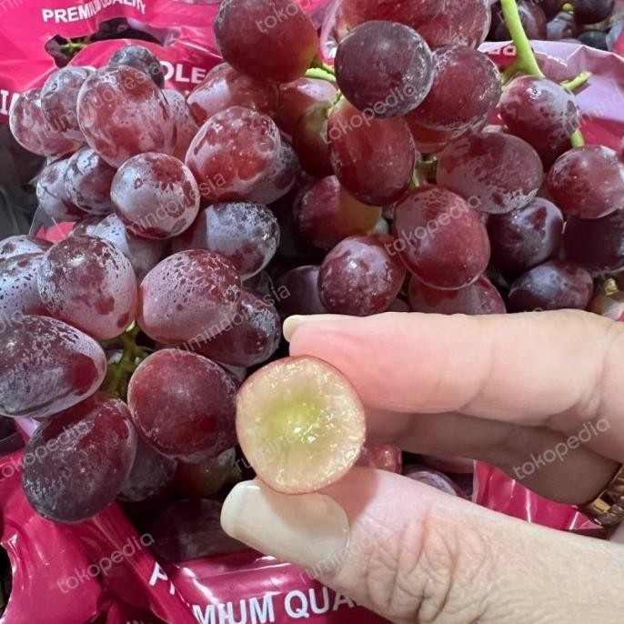 

Murah Anggur Crimson Seedless Grapes Fresh Import 1Kg
