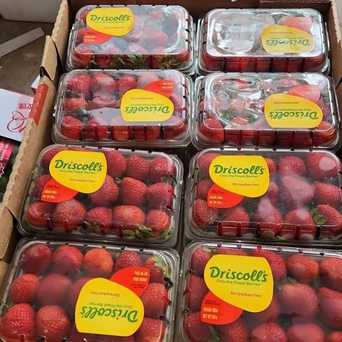 

Sale Strawberry Sweet Darling Usa