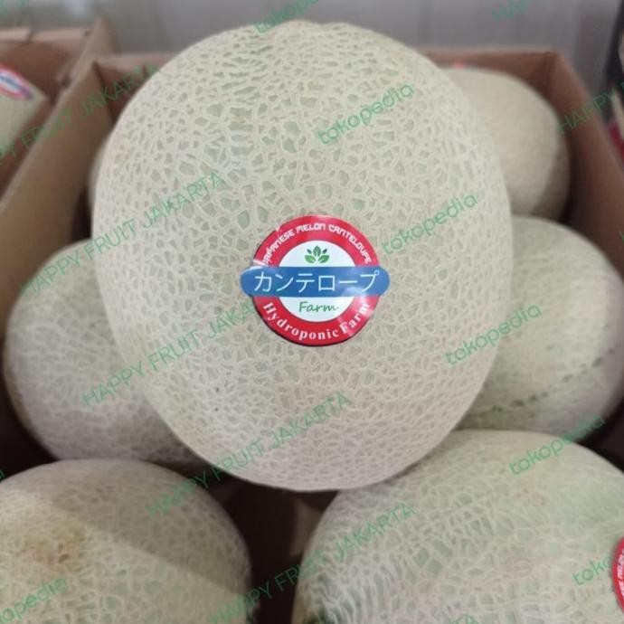 

Grosir Melon Cantaloupe Jepang Bogatani Daging Oren | Melon Bogatani Manis
