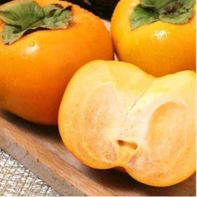 

Murah Buah Kesemek Infort Persimon Premium