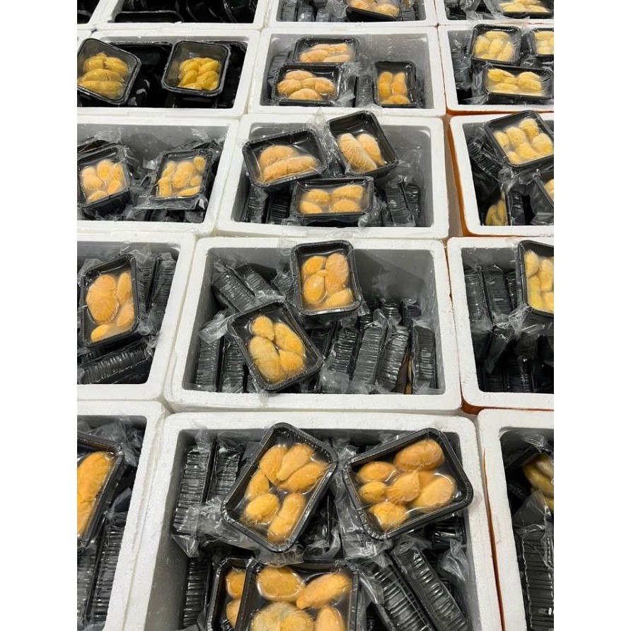 Murah Durian Musang King Sultan Malaysia Frozen 400 Gram Fresh Import