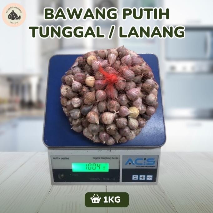 

Promo Bawang Putih Tunggal Lanang Besar 1Kg