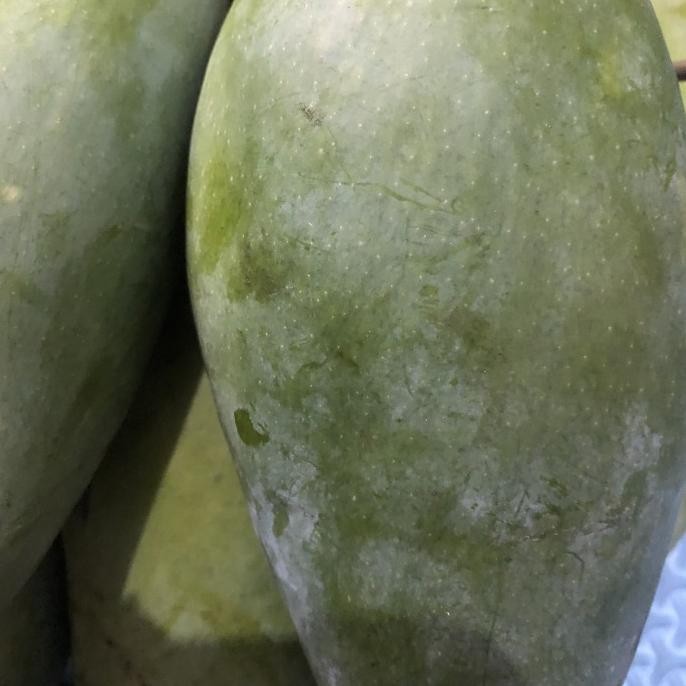 

Grosir Mangga Lokmai Thailand 1 Kg