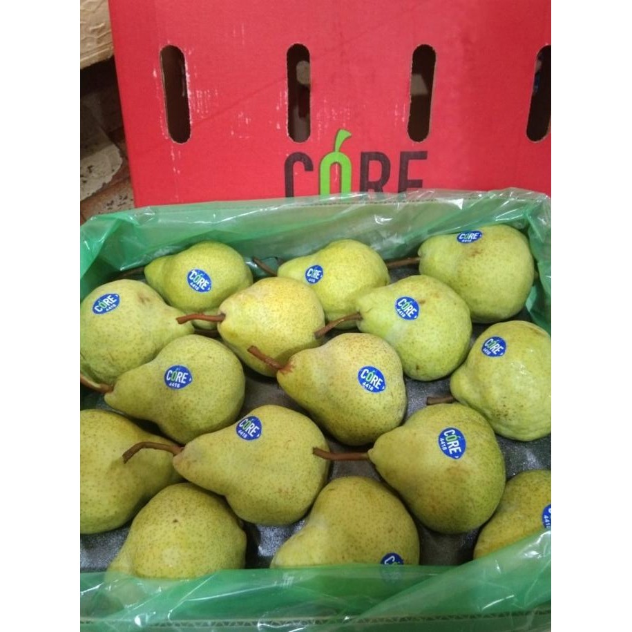 

Murah Buah Pear Pir Packham Africa 1 Dus (12,5 Kg) Fresh Import