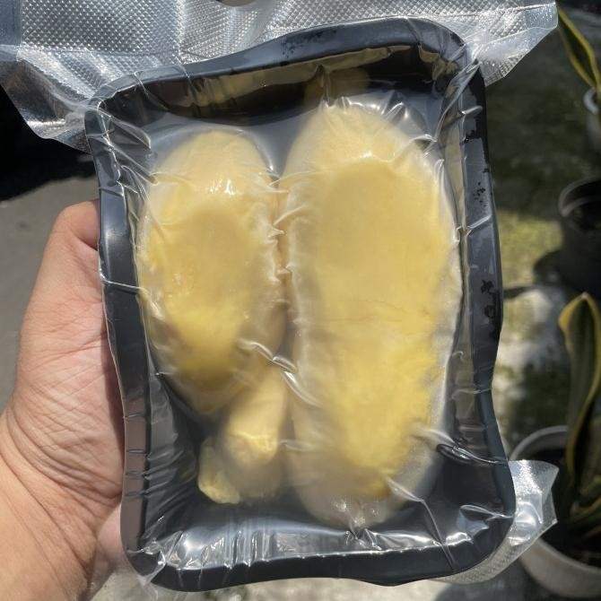 

Grosir Montong Tolai Sausu Kualitas Ekspor