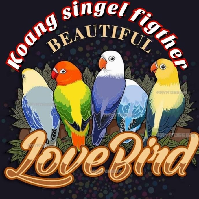 

ready dus burung 30 pcs murah