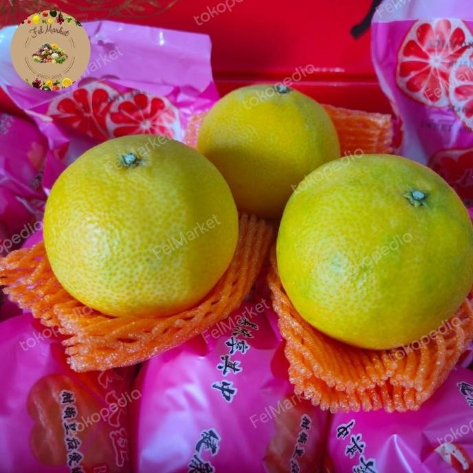 

Promo Jeruk Red Beauty Sweet & Juicy | Buah Jeruk Beauty Aiyen | 1 Kg