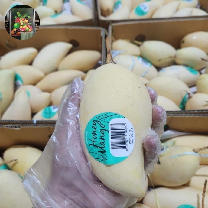 

Sale Mangga Harum Manis Super