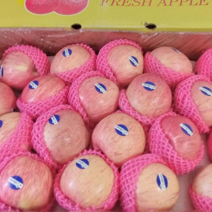 

Grosir Apel Fuji Fresh Manis Garing Spesial Promo Per 3Kg