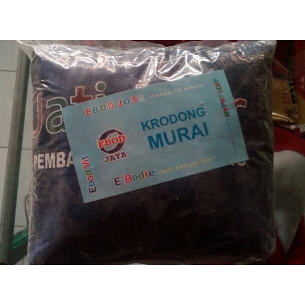 ready KRODONG SANGKAR MURAI EBOD JAYA