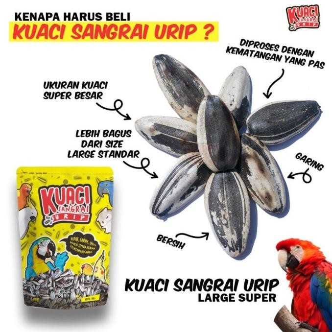 

Grosir Kuaci Sangrai Urip 900 Gram Large Super Kwaci Premium Parrot Macaw