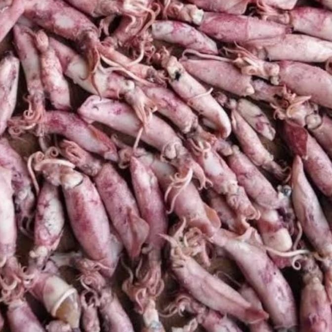 

Grosir Cumi Asin Kering 500G