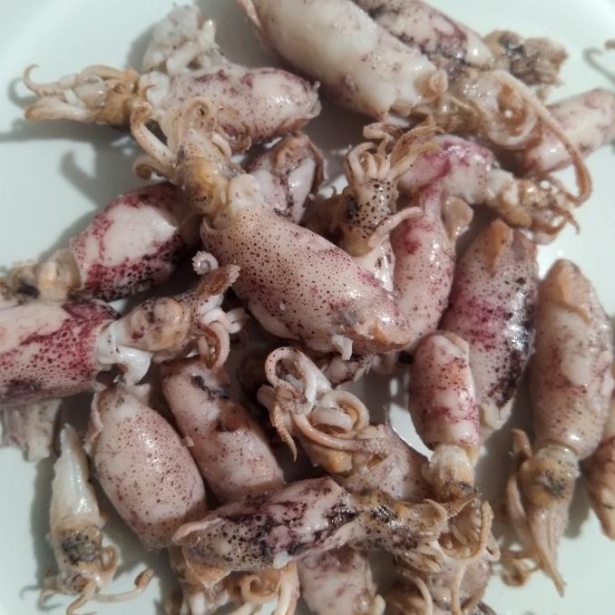 

Murah Cumi Asin Baby 1Kg /Cumi Asin Rebus/Ikan Asin Cumi Baby