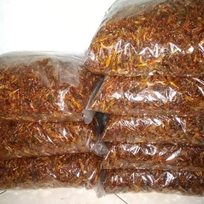 

BELALANG GORENG UTIS KECIL 2 TOPLES NASTAR BULAT WARNA F67A