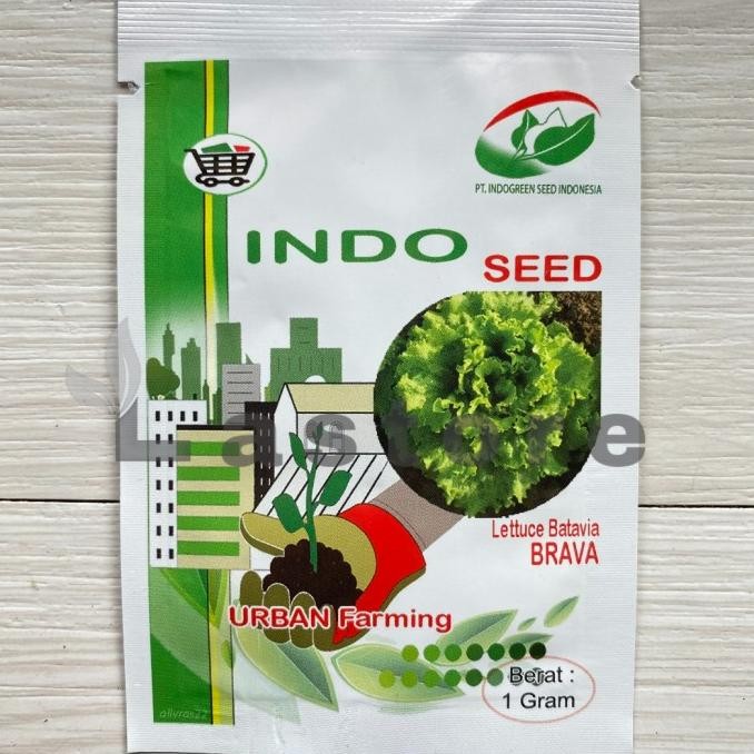 benih selada keriting brava lettuce batavia isi 1 gram indoseed