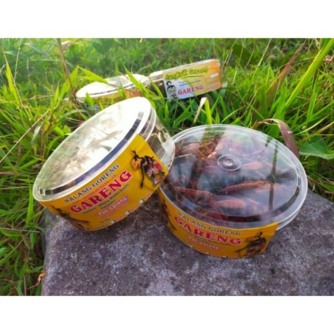 

TERBATAS Belalang goreng (pioner) Pak Gareng F67A