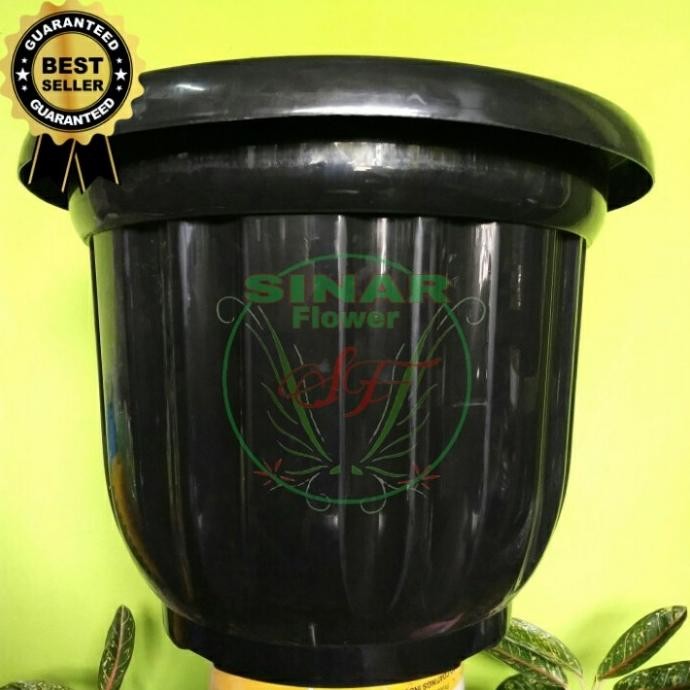 pot tanaman 60 cm/pot hitam/pot plastik 60cm kualitas terbaik