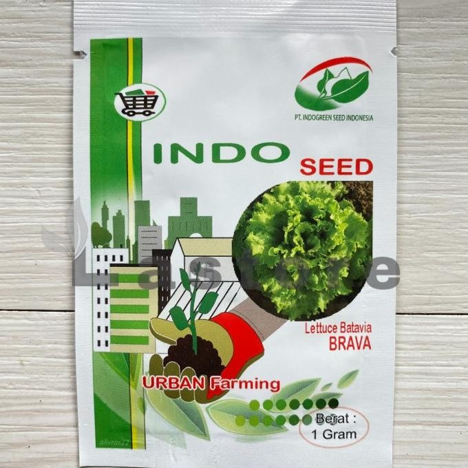 benih selada keriting brava lettuce batavia isi 1 gram indoseed
