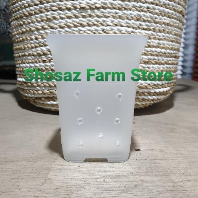 (LUSINAN 12 BH) Pot Kotak NKT 12 Jouss Bening Transparan Berlubang