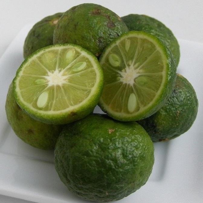 

Tanaman Buah - Pohon Jeruk Sambal Limau Limo | Citrus Amblycarpa