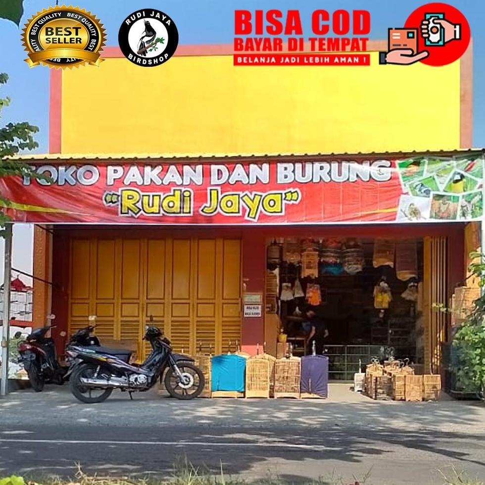 Of14 Eqw-68 Jagung Pecah Kasar 500 Gram Pakan Makanan Ayam Bebek Unggas Burung Merpati Dara Anggunga