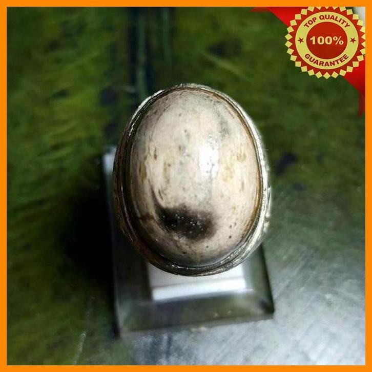 [MAR] FOSIL KELOR PUTIH - CINCIN BATU AKIK