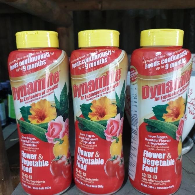 Pupuk slowrelease DYNAMITE murah