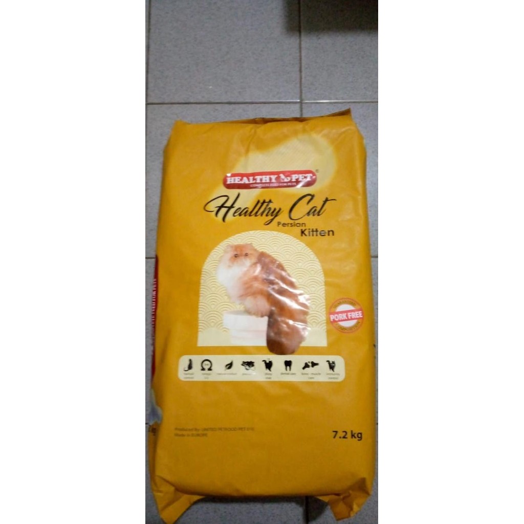 Healthy cat persian kitten 400 gram