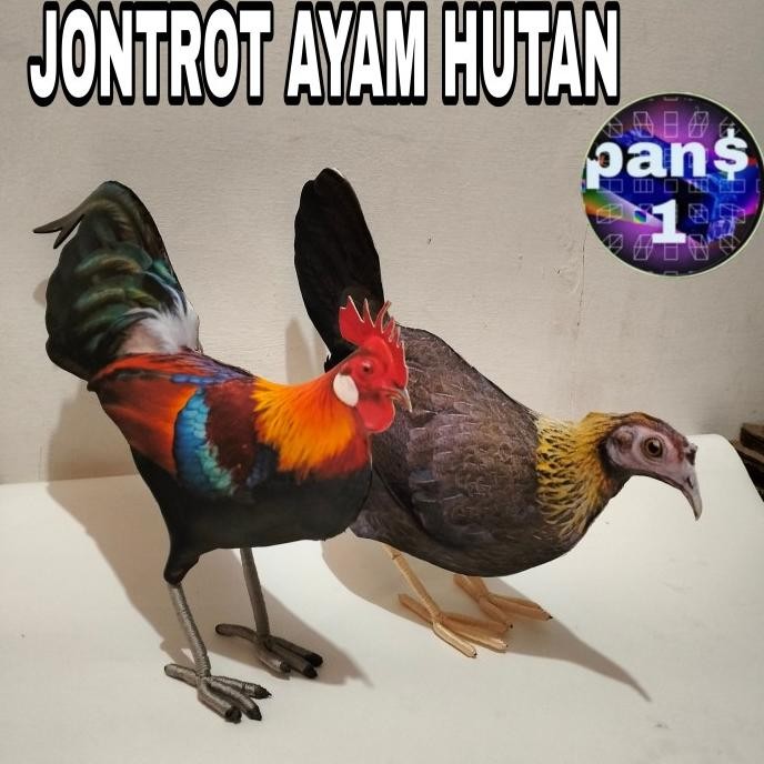 boneka patung jontrot ayam hutan