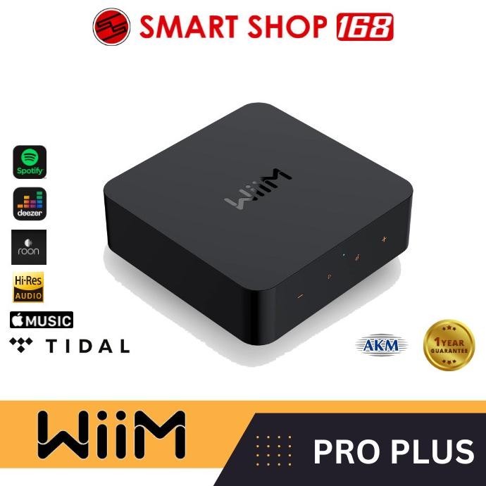 Terlaris Wiim Pro Plus Music Streamer