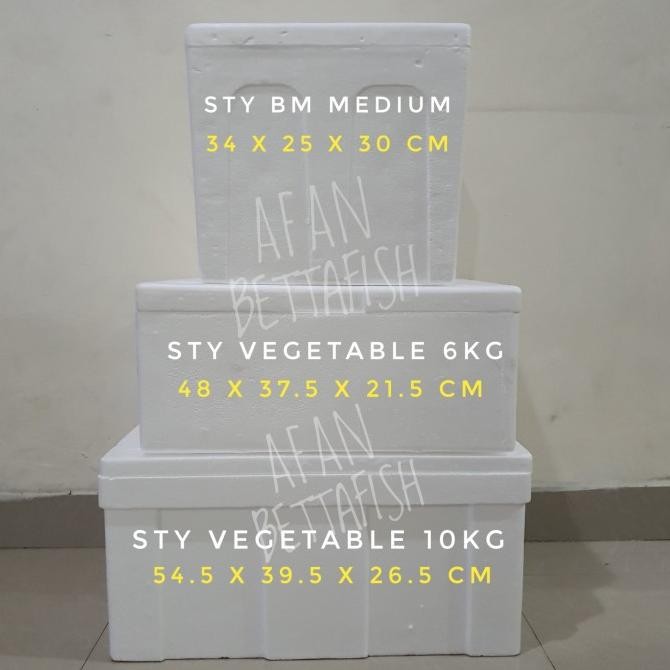 tyS BOX STYROFOAM GG UKURAN 52 x 38 x 34 CM TEBAL 2.5 CM BOX FROZEN FOOD