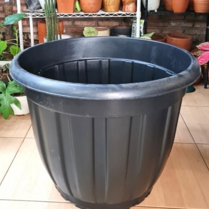 Pot Tanaman Bunga 50 Jumbo Besar Pot Bunga Plastik Hitam Putih TEBAL