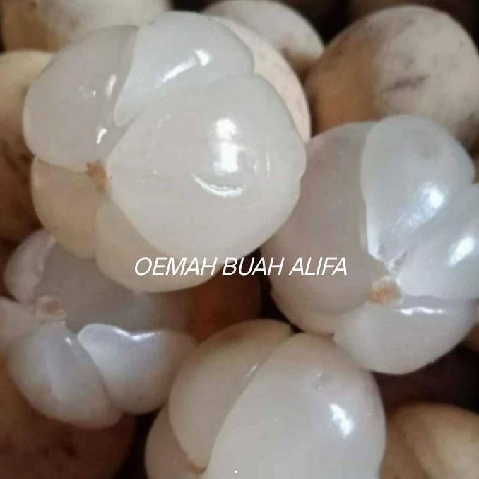 Buah Duku Pontianak 1 Kg