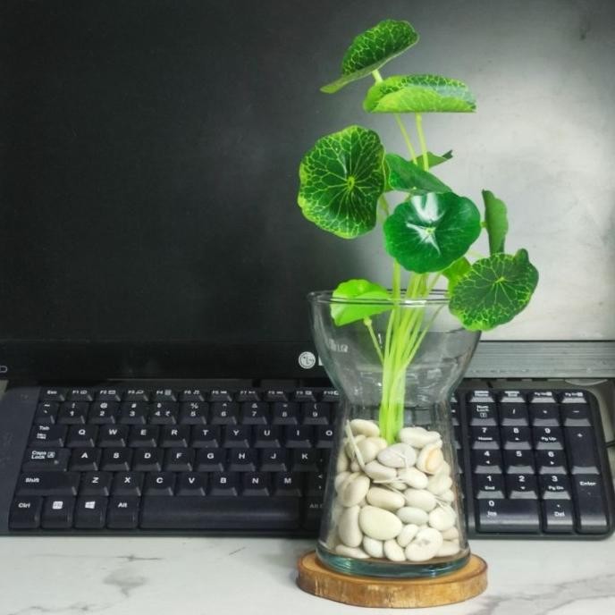 Vas Bunga Kaca Aesthetic / Pot Kaca Tanaman Air Hidroponik Minimalis