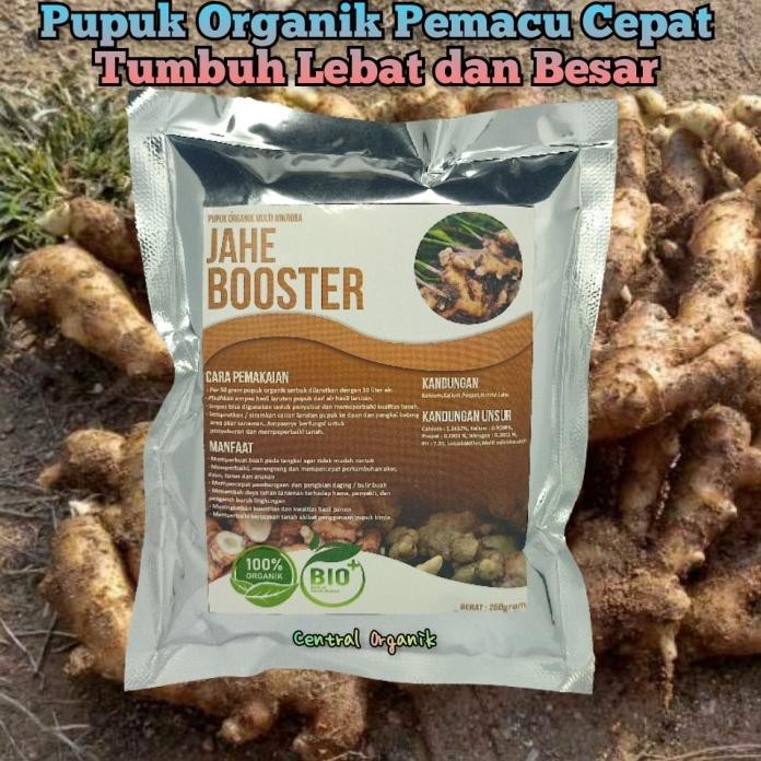 

Terlaris Pupuk Organik Booster Tanaman Jahe Cepat Tumbuh Besar Dan Lebat